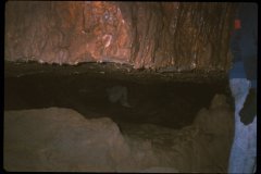 FG-009