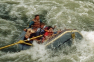 1989