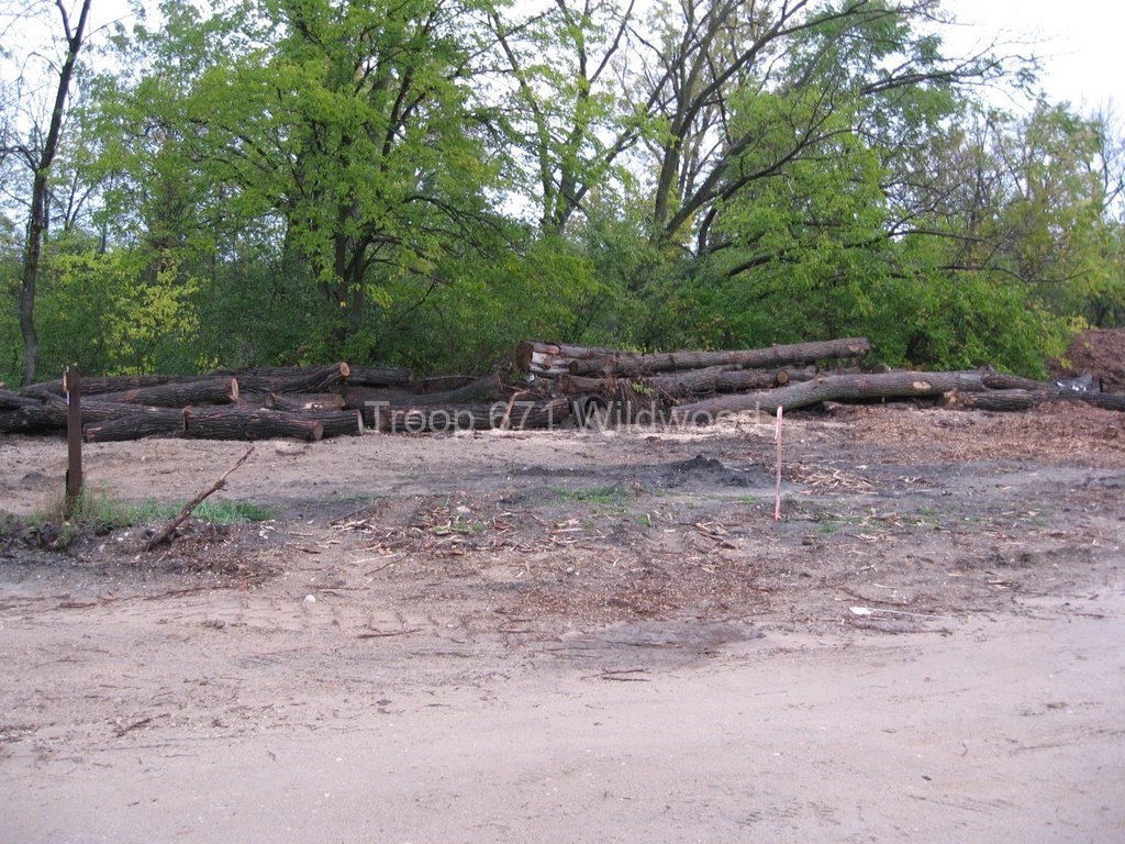 2009-10-03FallCamporee137