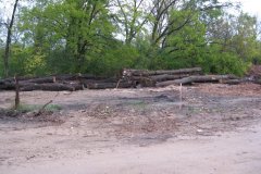 2009-10-03FallCamporee137