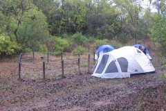 2009-10-03FallCamporee140
