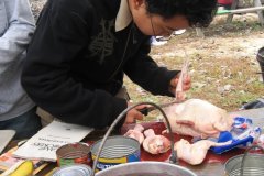 2009-10-03FallCamporee228
