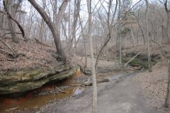 IMG_1355