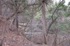 IMG_1381