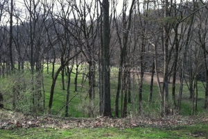 2011-04-15 Apple River
