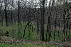IMG_0044