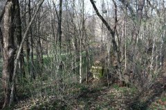 IMG_0047
