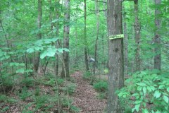 IMG_0031