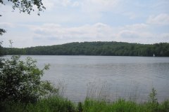 IMG_0139