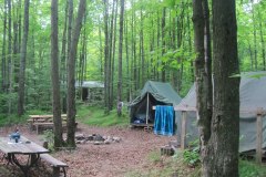 IMG_0156