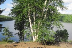 IMG_0200