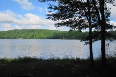 IMG_0201
