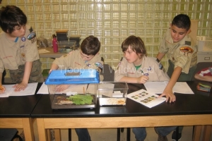 2012-04-15 Natural Sciences Merit Badge Day