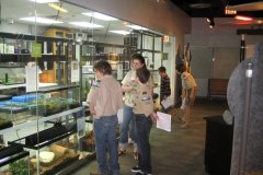2012-04-15NaturalSciencesMeritBadgeDay002