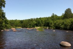IMG_0061