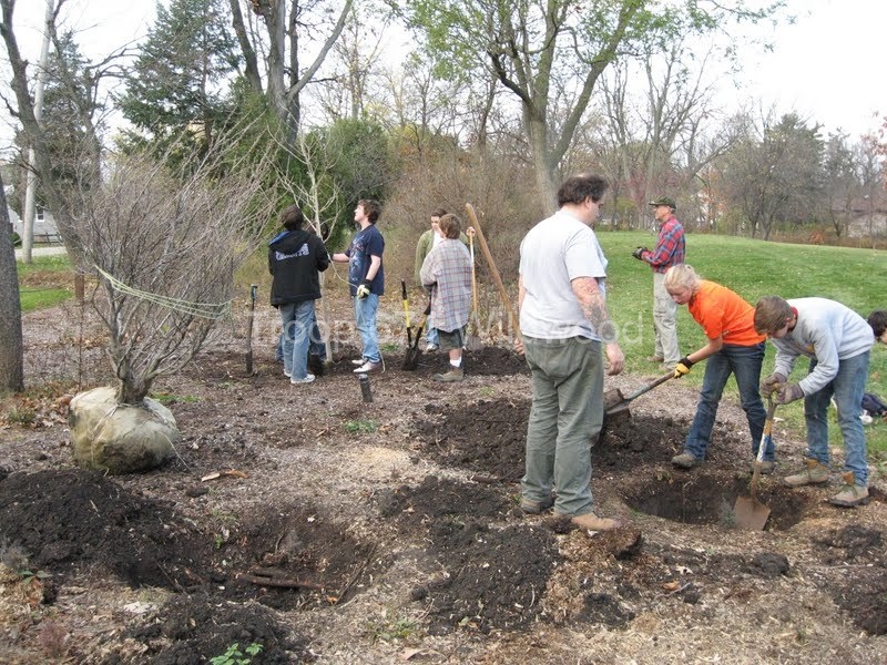 2012-11-10WildwoodParkDistrictServiceProject011