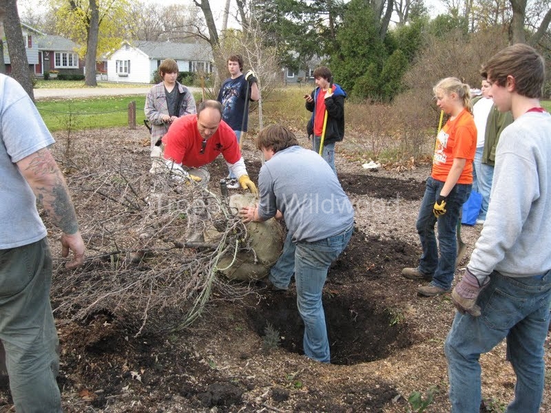 2012-11-10WildwoodParkDistrictServiceProject016
