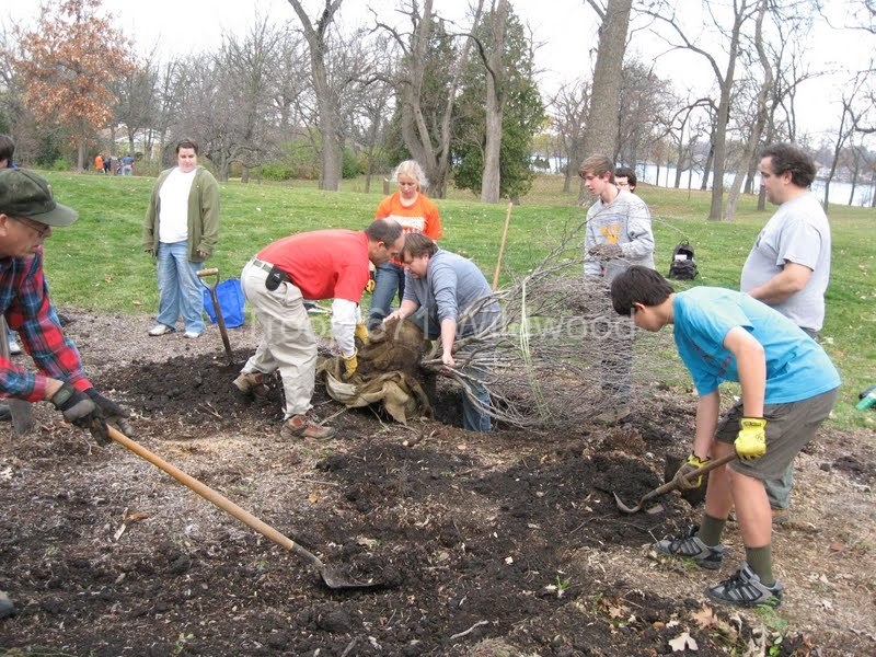 2012-11-10WildwoodParkDistrictServiceProject019