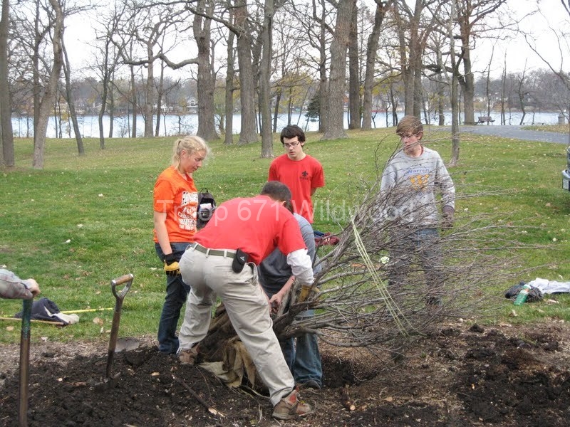2012-11-10WildwoodParkDistrictServiceProject020