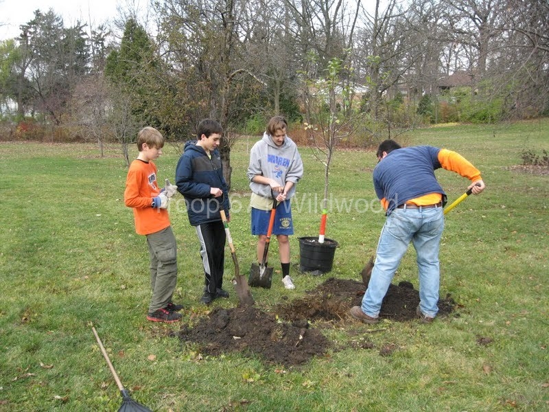 2012-11-10WildwoodParkDistrictServiceProject021