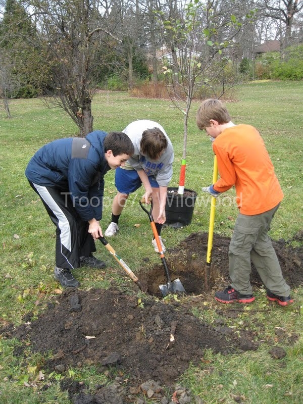 2012-11-10WildwoodParkDistrictServiceProject023