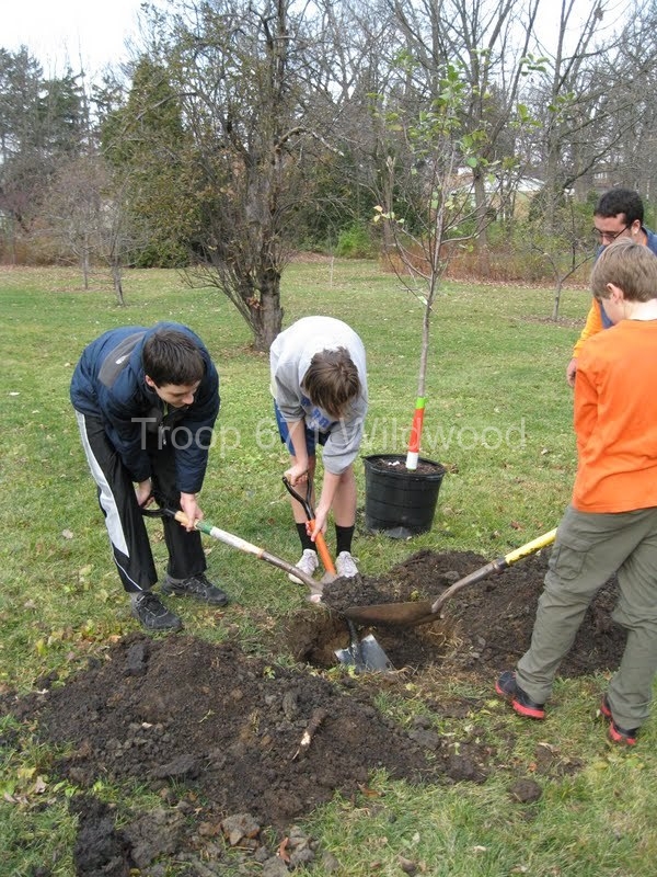2012-11-10WildwoodParkDistrictServiceProject024