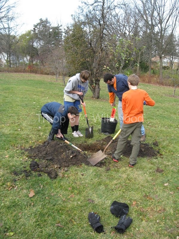 2012-11-10WildwoodParkDistrictServiceProject025