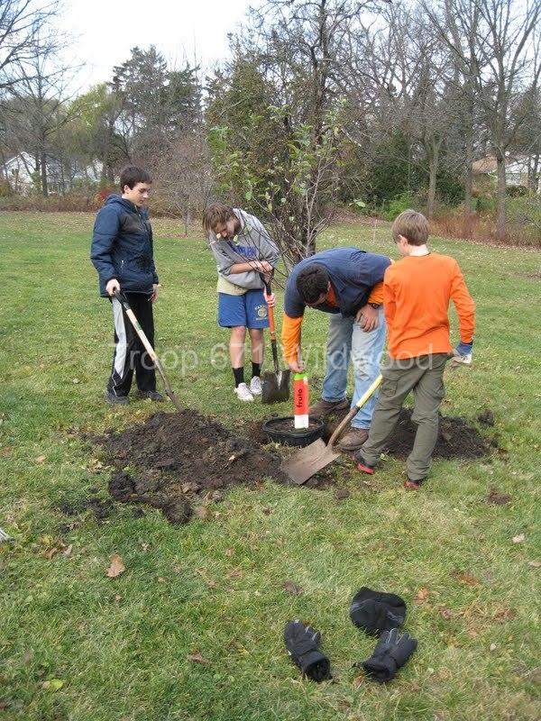 2012-11-10WildwoodParkDistrictServiceProject026