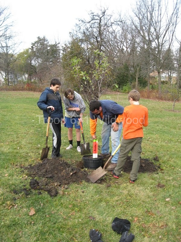 2012-11-10WildwoodParkDistrictServiceProject027