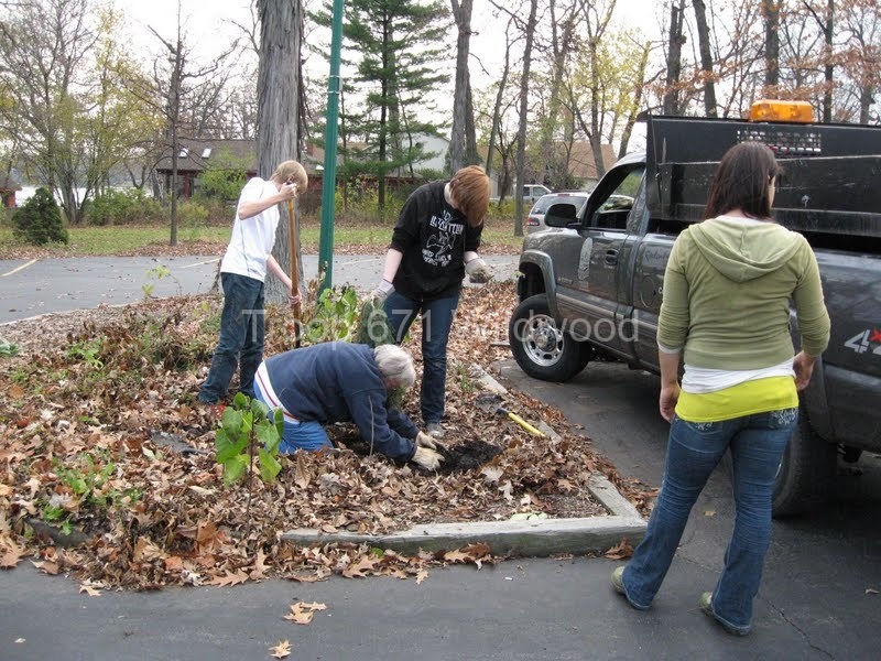 2012-11-10WildwoodParkDistrictServiceProject028