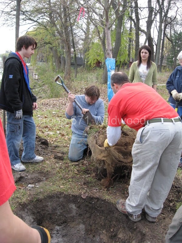 2012-11-10WildwoodParkDistrictServiceProject043