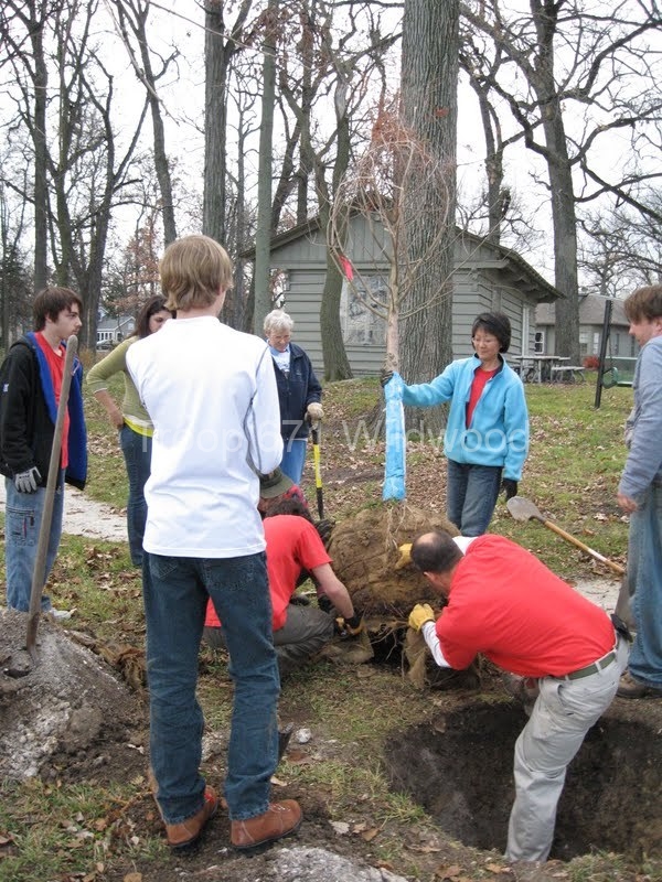 2012-11-10WildwoodParkDistrictServiceProject048