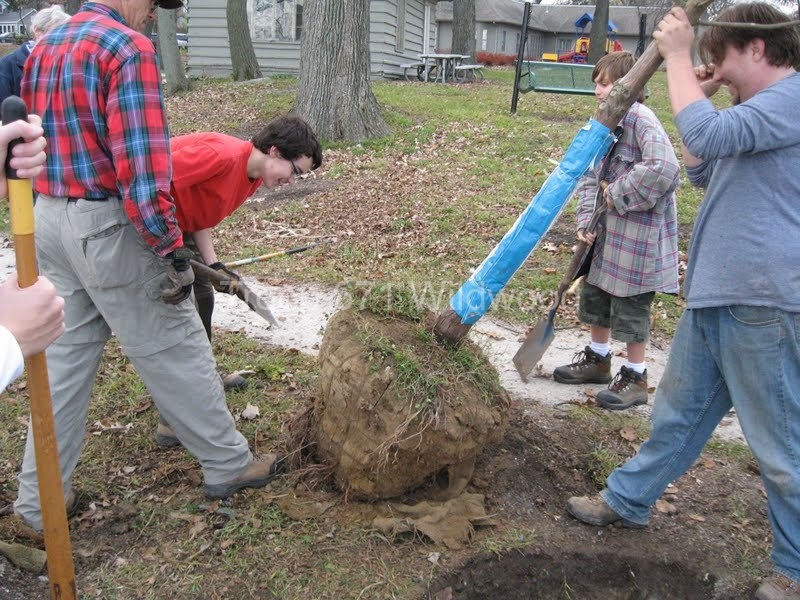 2012-11-10WildwoodParkDistrictServiceProject055