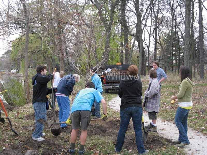 2012-11-10WildwoodParkDistrictServiceProject072