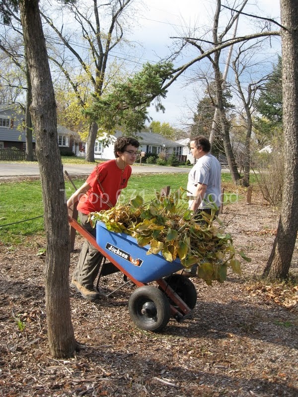 2012-11-10WildwoodParkDistrictServiceProject089