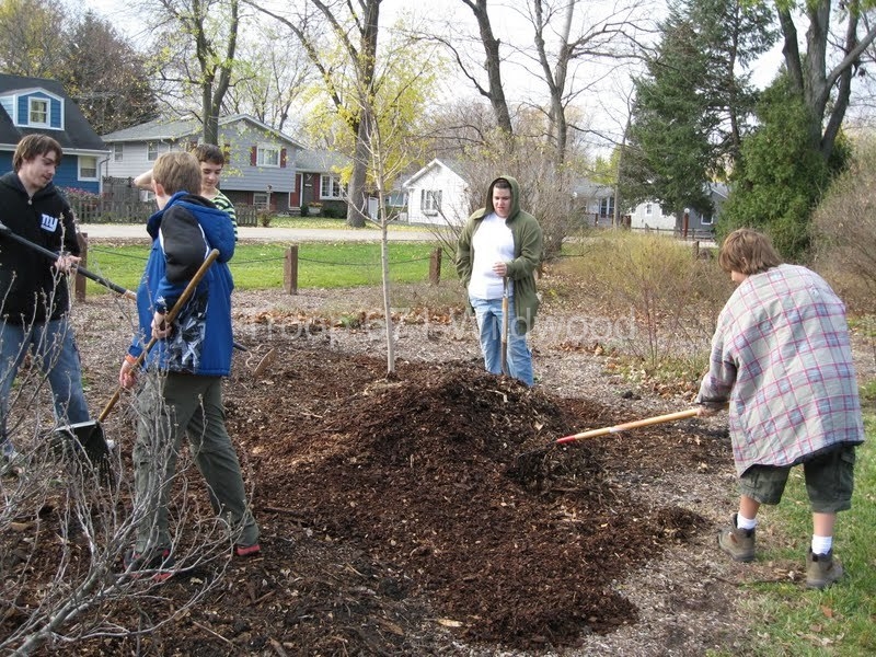 2012-11-10WildwoodParkDistrictServiceProject091