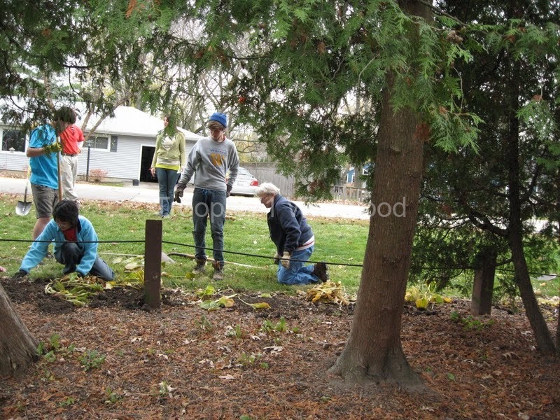2012-11-10WildwoodParkDistrictServiceProject101