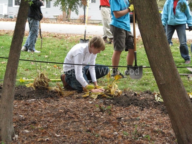 2012-11-10WildwoodParkDistrictServiceProject102