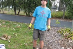 2012-11-10WildwoodParkDistrictServiceProject008