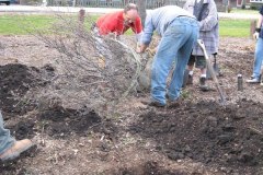 2012-11-10WildwoodParkDistrictServiceProject015