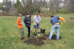 2012-11-10WildwoodParkDistrictServiceProject021