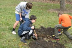 2012-11-10WildwoodParkDistrictServiceProject022