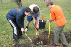 2012-11-10WildwoodParkDistrictServiceProject023