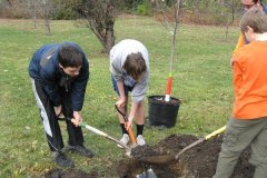 2012-11-10WildwoodParkDistrictServiceProject024