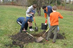 2012-11-10WildwoodParkDistrictServiceProject025