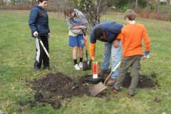 2012-11-10WildwoodParkDistrictServiceProject026