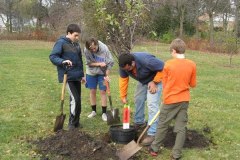 2012-11-10WildwoodParkDistrictServiceProject027