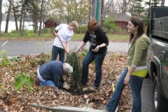 2012-11-10WildwoodParkDistrictServiceProject031