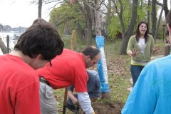 2012-11-10WildwoodParkDistrictServiceProject042