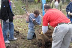 2012-11-10WildwoodParkDistrictServiceProject043